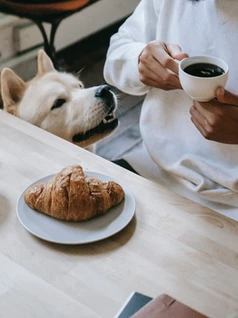 food, coffe and dog